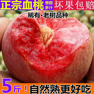 正宗血桃5/2斤现摘当季新鲜桃子水果脆甜红心应季整箱包邮水蜜桃
