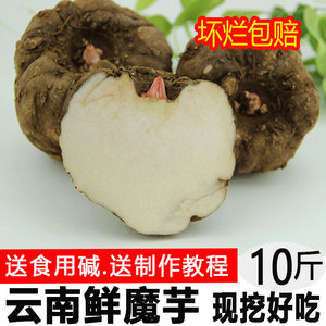 新鲜魔芋正宗云南10斤装农家自种现挖制做豆腐原料贵州生蘑芋包邮