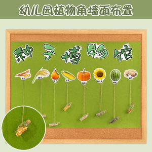幼儿园中大班科学益智区植物角观赏类感官材料图册种子自制教玩具