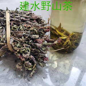 云南建水野生山茶烧豆腐凉茶山茶老山茶建水凉茶散装烧烤店用茶