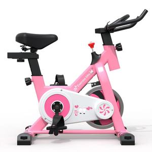 儿童动感单车锻炼健身器材室内家用静音脚踏自行车男女孩生日礼物