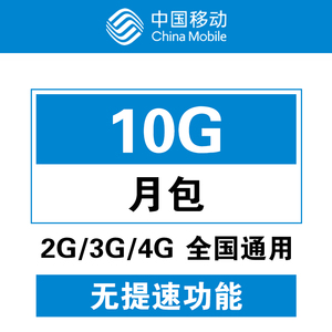 山东移动10G全国流量加油包 当月有效  不可提速