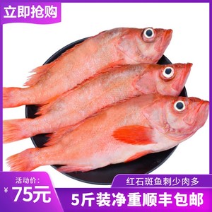 红石斑鱼5斤冷冻整条红鱼大眼鱼富贵鱼海鲜水产鲜活海鱼斑鱼包邮