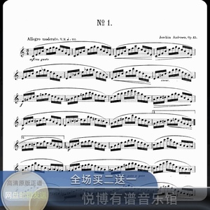 安德森J.Andersen 24首长笛练习曲Op.15 电子版 原版高清正谱