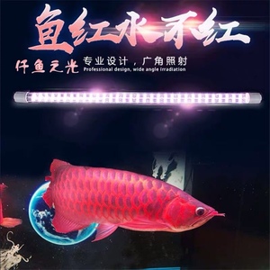 仟鱼之光红龙鱼专用灯增艳金龙鱼缸潜水灯Led红龙神灯红鱼不红水