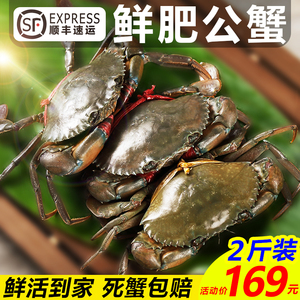 缅甸野生青蟹鲜活8-9只2斤装海鲜水产酱蟹醉蟹肉蟹处子蟹特大螃蟹