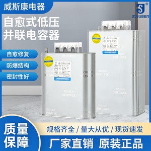 上海威斯康BSMJ0.45-15-3 20/25/30/40/50-3自愈式低压并联电容器