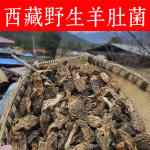 羊肚菌干货野生西藏50克特产特级非500g新鲜煲汤食材羊肚菇