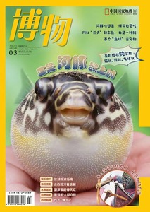 【河豚】【现货包邮】博物杂志 2023年3月  中国国家地理青少版