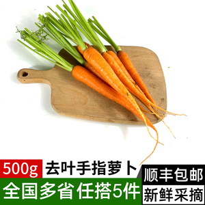 去叶手指胡萝卜500g 生吃迷你小胡萝卜沙拉食材新鲜蔬菜 5件包邮