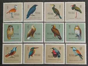 波兰1960年鸟类邮票大鸨渡鸦鸬鹚黑鹳金雕翠鸟等12全