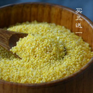 小江新货/小粒黄小米/农家小黄米杂粮/坐月子宝宝吃的营养米500g