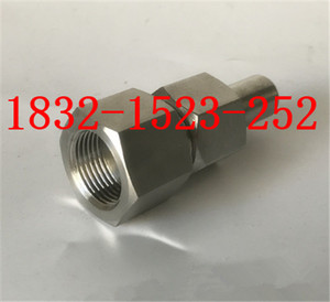 304不锈钢对焊式直通终端内螺纹接头PN63 M20*1.5 G/NPT1/2-Φ14