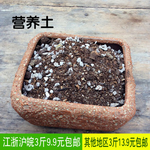 多肉土专用营养土颗粒土包邮清仓特价泥炭土铺面石通用型种花育苗