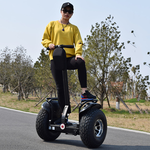新品体感双轮自平衡车成人儿童代步思维电动沙滩两轮漂移滑板越野