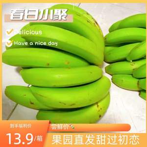 威尼斯香蕉云南高山香甜大香蕉新鲜10斤banana香蕉自然熟大芭蕉