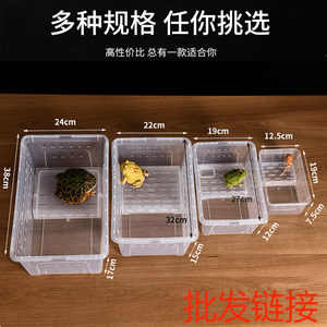 两栖盒爬虫爬宠饲养盒水陆缸乌龟缸角蛙盒水族饲养箱晒台干湿分离