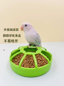 鹦鹉学吃食盒防撒食碗芦丁鸡食槽中小型幼鸟雏鸟手养鹦鹉BB喂饲料