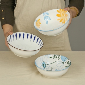 高颜值家用陶瓷碗2024新款餐具网红釉下彩可爱日式菜碗大面碗汤碗