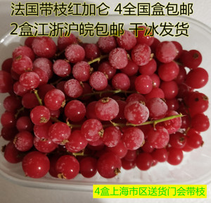 冷冻中国大陆新鲜带枝红加仑200克盒水果烘培糕点甜品装饰包邮品