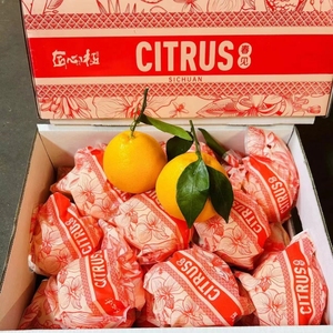 日本品种匠心级春见粑粑柑原箱8斤礼盒装爆浆新鲜水果丑八怪橘子