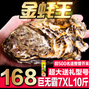 特大号正宗乳山生蚝鲜活新鲜牡蛎带壳 海鲜水产海蛎子包邮10斤7XL