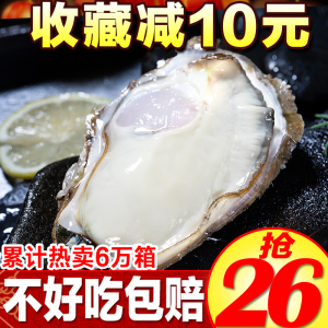 乳山生蚝鲜活牡蛎海鲜水产贝类海蛎子肉大带壳新鲜 5斤10斤顺丰