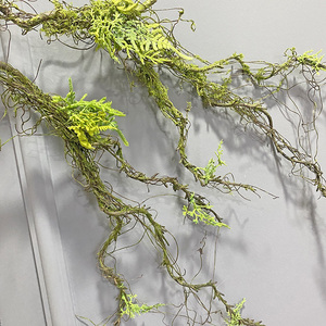 仿真森系苔藓树藤造景植物枯树枝可弯曲造型爬藤装饰青苔假藤蔓条