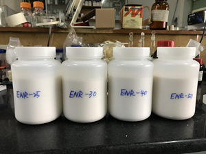 实验室环氧化天然橡胶ENR 25 30 40 50