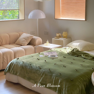一束梨花ins风牛奶绒毯子冬季韩式加厚保暖沙发盖毯午睡毯单被套