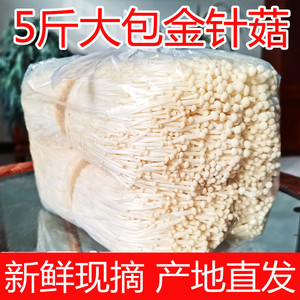 新鲜金针菇5斤1包新鲜蔬菜青菜火锅食材厨房饭店食堂商用