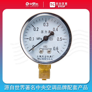 上海天川仪表 Y-60压力表 径向水压表 气压表0-0.6MPA1.0MPA 液体