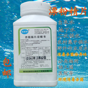 饮用水消毒片专业井水地下自来水杀菌除虫去异味漂粉精片剂500克