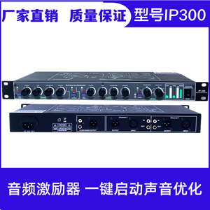 IP300多功能超高音超重低音炮音效器音频激励器均衡器音调调节前