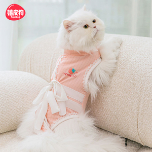 猫咪用品新趋势：更健康安全的选择
