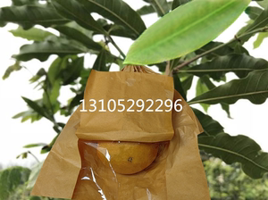 黄晶果套袋专用袋热情果黄金百香果袋鸡蛋果百味果蛋黄果水果保护
