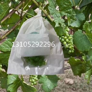 甜瓜纸袋防鸟袋香瓜套袋专用袋木瓜袋火龙果袋哈密瓜水果保护果袋