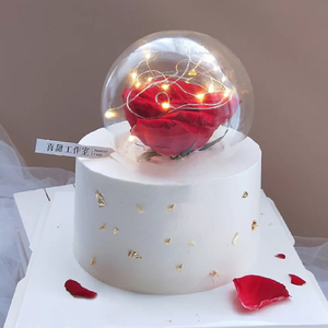 网红告白透明玻璃球蛋糕装饰串灯水晶罩烘焙仿真玫瑰生日插件摆件