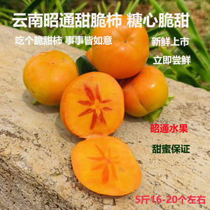 云南昭通甜脆柿子 应季水果削皮即吃软柿脆柿巧克力柿