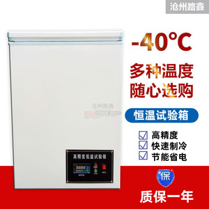高精度-40度低温试验箱/-40度铜管低温冰柜/-60超低温冰箱速冻柜