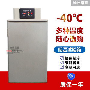 DW-40/-60低温试验箱实验室立式温度可调工业冰箱卧式工业冷冻柜