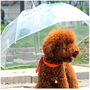宠物狗狗透明雨伞泰迪比熊小型犬宠物雨衣小狗狗雨披带狗链子