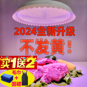 2024新国标生鲜灯市场专用灯超市猪肉灯水果冰鲜灯熟食灯全白光