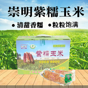 新货上海崇明紫糯玉米熟玉米棒真空包装2kg4斤甜香糯玉米礼盒包邮