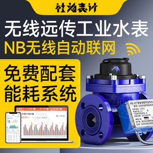 远传智能水表 4G/NB无线远程大口径工业法兰水表DN50/100 赠系统