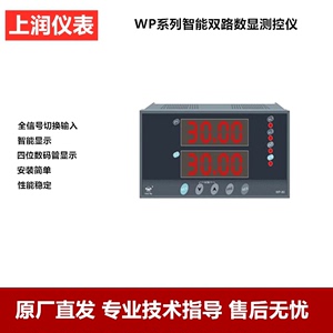 上润仪表WP-D80/D823/D821-011/022智能双回路数字显示变送控制仪
