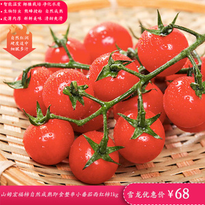 山姆购宏福柿荷兰品质自然成熟整串即食清甜圣女果草莓小番茄1kg