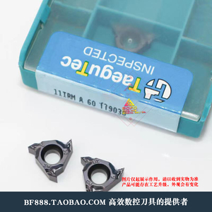韩国特固克 小号螺纹刀片 11IRM A60 1.0ISO TT9030 不锈钢