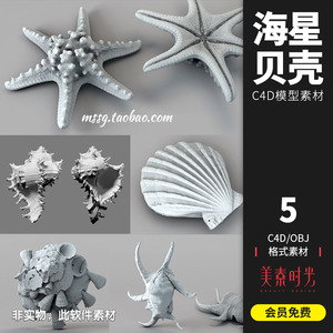 海洋水生物六角海星贝壳扇贝海螺C4D模型OBJ格式素材高精白模C371