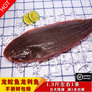 霞浦当天现捕新鲜海鲜龙舌鱼冰鲜发货龙利鱼踏板鱼海鱼